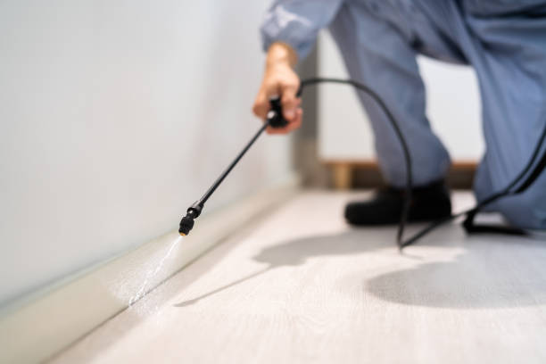 Licensed Rodent Control service in Orange County County, NY - Nex Pest Control