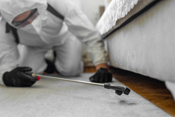 Professional Rodent Control technician working in Orange County County, NY